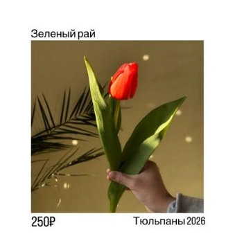 Обычный тюльпан | Источник: 2ГИС