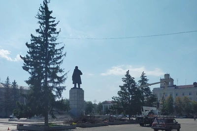 В Кургане спилили две ели на площади Ленина
