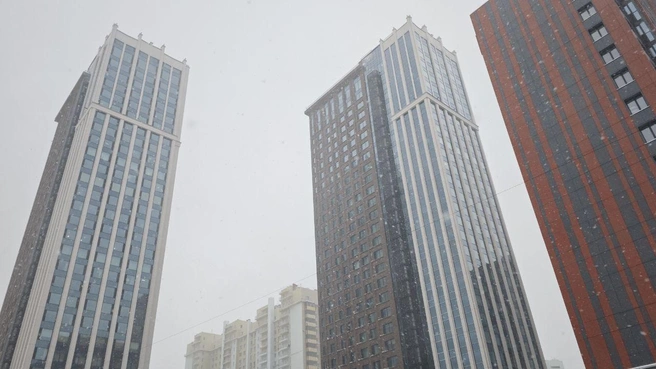 Источник: Маргарита Резникова / NGS.RU