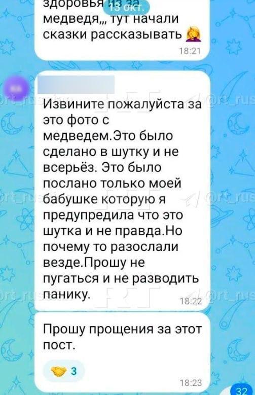 Школьница сделала пугающее фото медведя на Урале. А потом ей пришлось извиняться