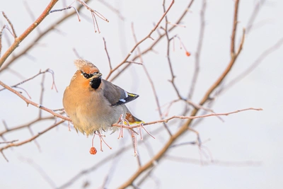 Temporary Respite: A Very Warm Day Awaits Chita This Week