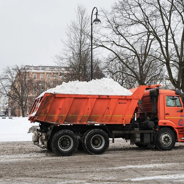 Источник: Комитет по благоустройству Петербурга