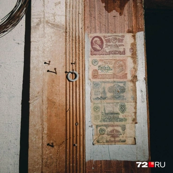 С другой&nbsp;— старые банкноты, которые давно уже не в ходу | Источник: Ирина Шарова / 72.RU 