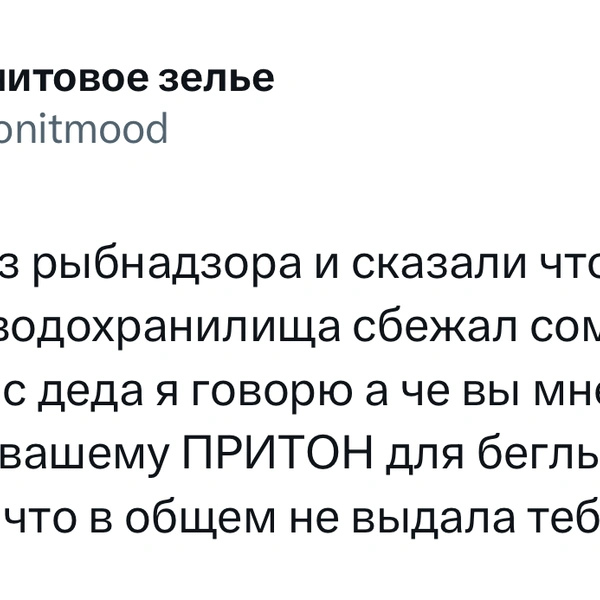 Источник: X (Twitter)