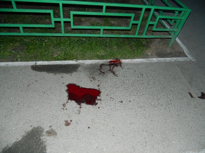 Убийство мужчина совершил во дворе дома | Источник: СКР по Тюменской области