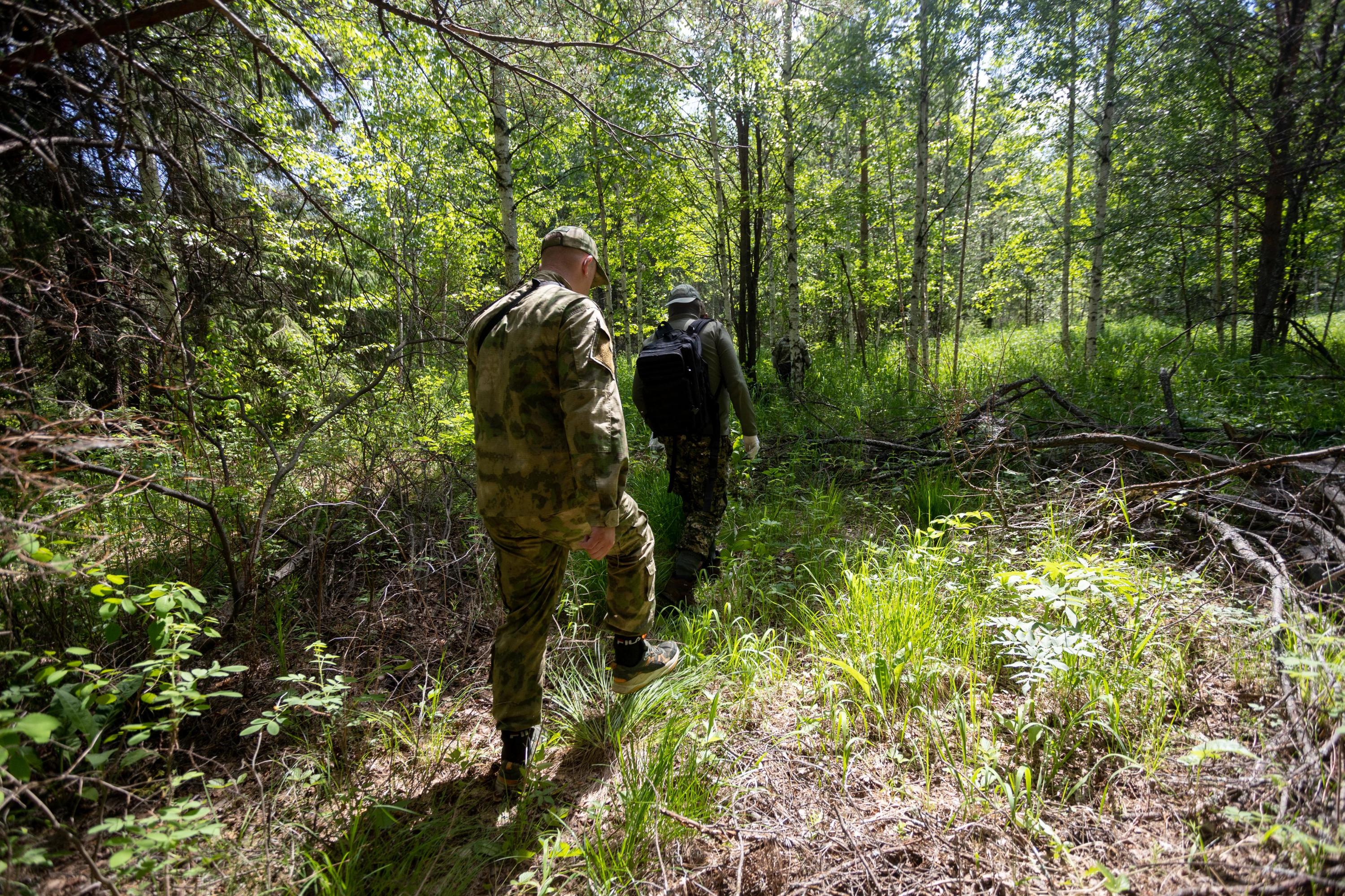 Жителям Архангельской области снова разрешили ходить в лес