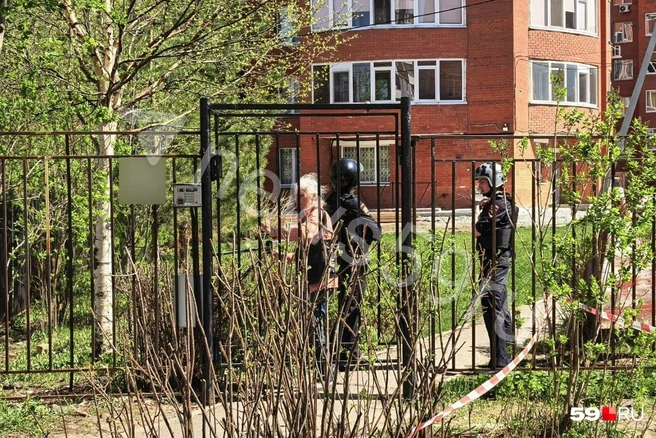 Источник: Василина Любимова / 59.RU