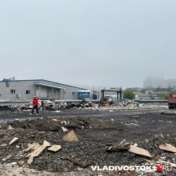 Источник: Елена Буйвол / VLADIVOSTOK1.RU