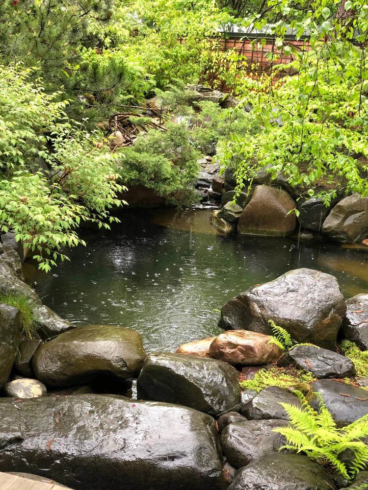 Сад дизайнера Ирины Глик. | mcmaison.ru