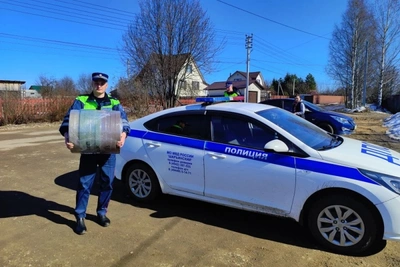 Полицейские Шарьи помогли волонтёрам с материалами для сетей