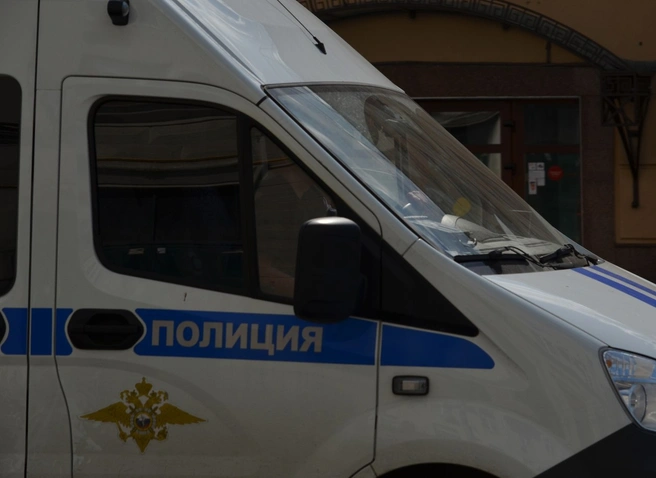 В Кораблинском районе задержали агрессивную пенсионерку 75 лет | ya62.ru