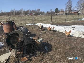 Если бы поселок был газифицирован, жить тихой и спокойной жизнью тут было бы проще | Источник: Кристина Мельникова / YA62.RU