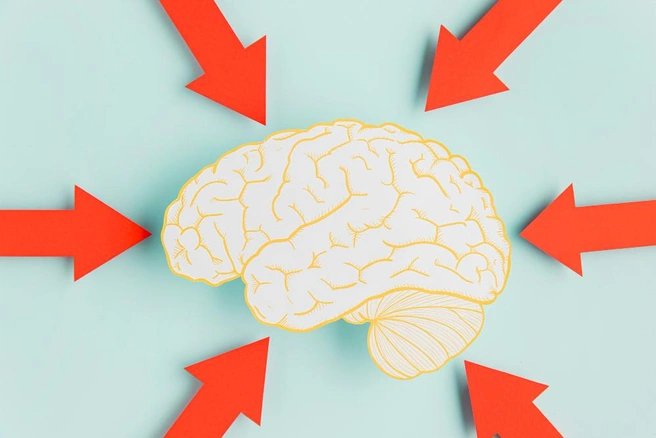Как билингвизм меняет работу мозга — бесплатно расскажут в Маяковке | Источник: freepik.com