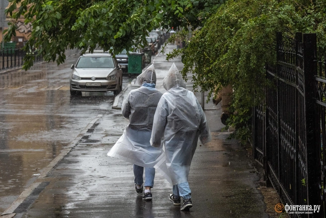 Вместо ливней на Тюмень идут заморозки | Источник: Михаил Огнев / FONTANKA.RU