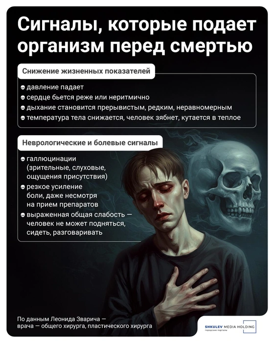 Источник: Полина Авдошина / Городские медиа