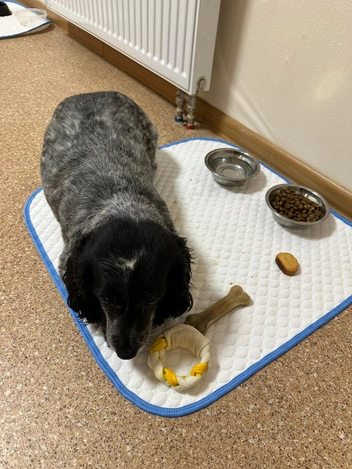 Источник: https://vk.com/depzdravyanao89