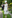 Фото №13 - Короли и шуты: гости Royal Ascot 2017, день 2