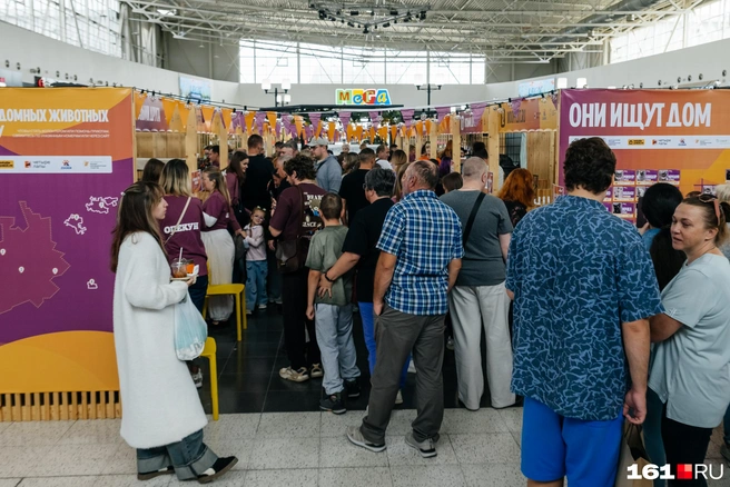 Фестиваль привлек большое количество посетителей | Источник: Евгений Вдовин / 161.RU