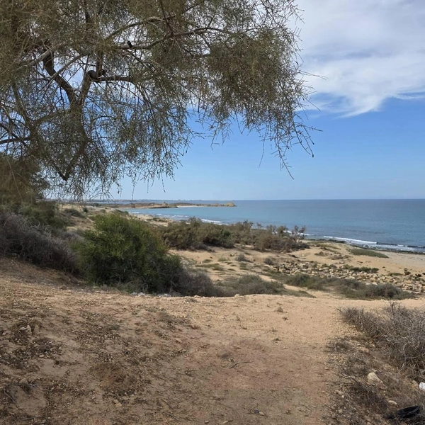 Источник: Алексей Котельников