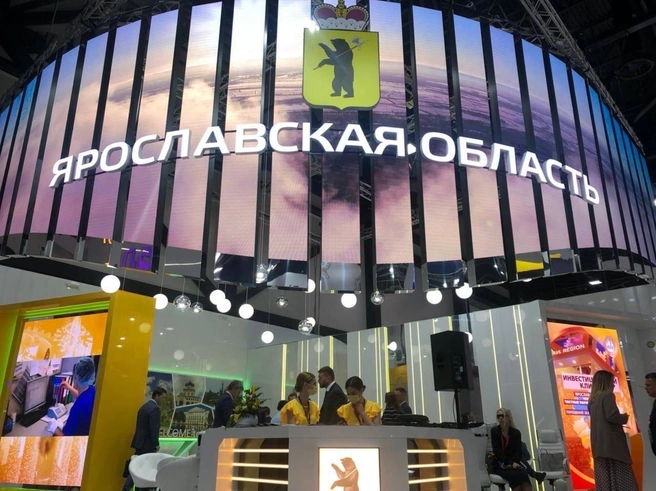 Из мискантуса можно изготавливать целлюлозу, одноразовую экопосуду и другие изделия | Источник: «Мискантус.Эко»