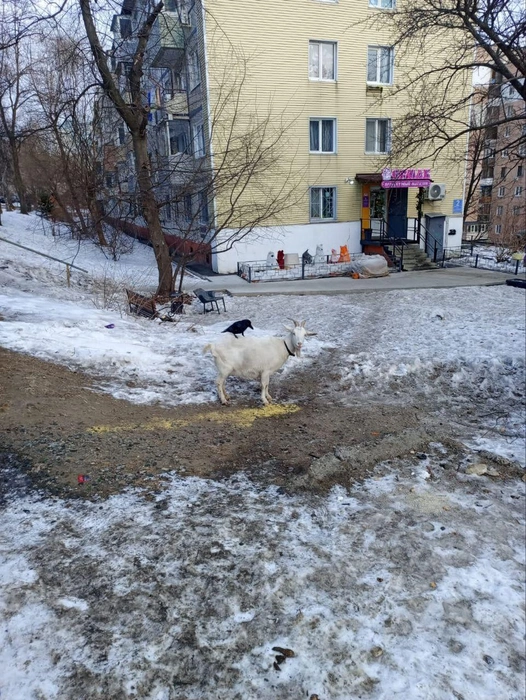 Источник: tos_chasovitin / t.me