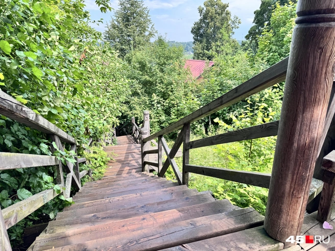 Лестница в гору | Источник: Юлия Король / 45.RU