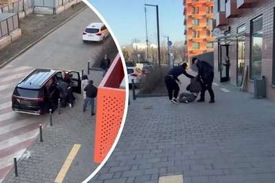 В Москве девушку силой увезли на машине