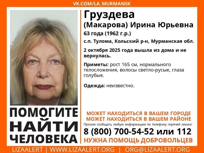 Источник: Поисковый отряд «ЛизаАлерт» Мурманской области / Vk.com