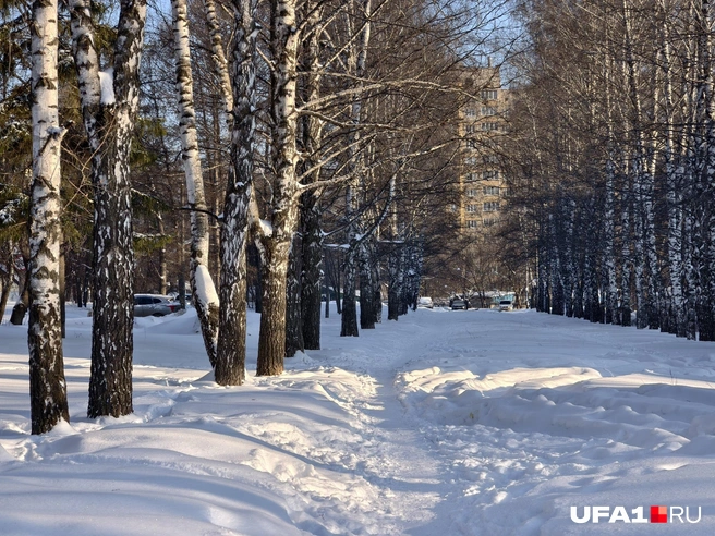 Двум людям пройти будет сложновато | Источник: Булат Салихов / UFA1.RU