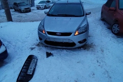 Stray Dogs Wreck Car in Kamyshin