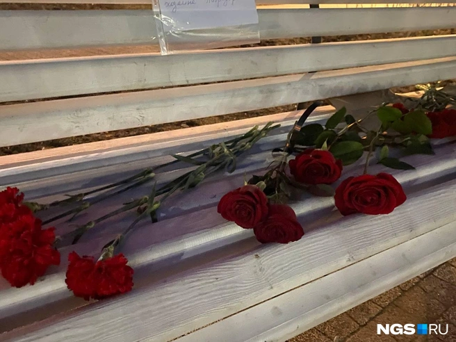 Цветы оставили возле фонтана, где регулярно прогуливались Павел и его питомцы | Источник: Анастасия Хрипушина/NGS.RU