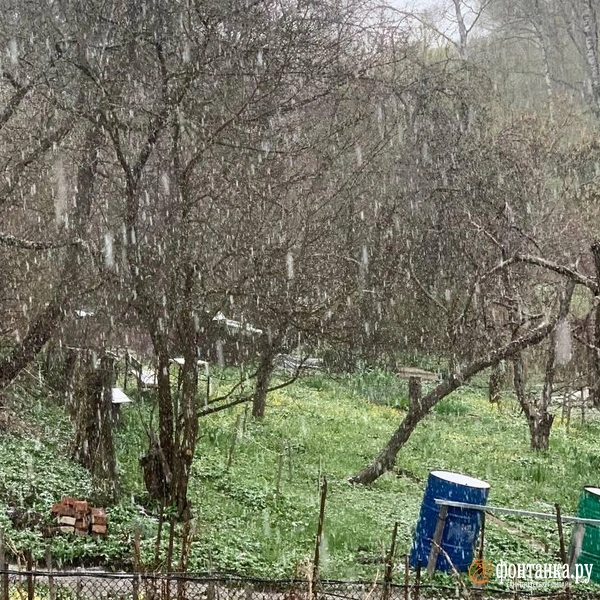 Источник: читатель «Фонтанки»