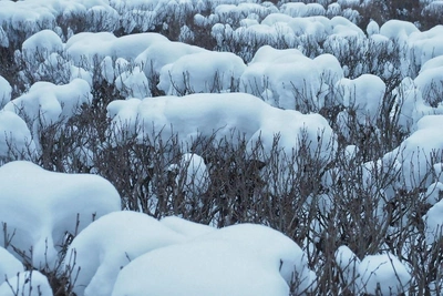 Циклон изменит погоду в Петербурге к воскресенью