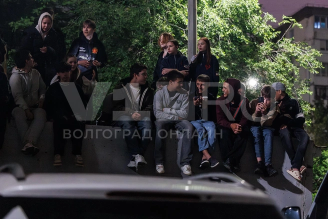 Кто-то решил взобраться повыше | Источник: Алексей Волхонский / V1.RU