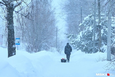 Резкая смена погоды в Центральной России: снегопады и оттепель