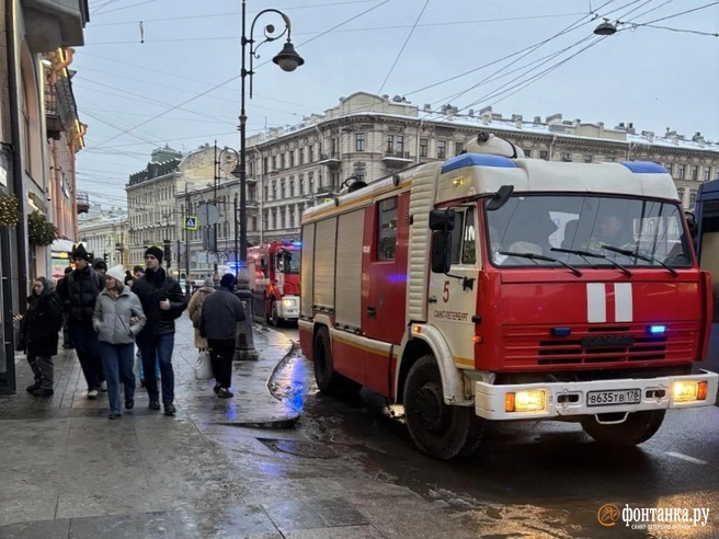 Из ТЦ в центре Петербурга эвакуировали сотни человек. Источник опасности нашли в подсобке | Источник: FONTANKA.RU