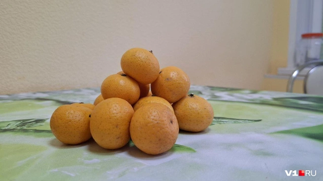 Стоимость 18 мини-мандаринок составила около 100 рублей. | Источник: Тимофей Крылов / V1.RU