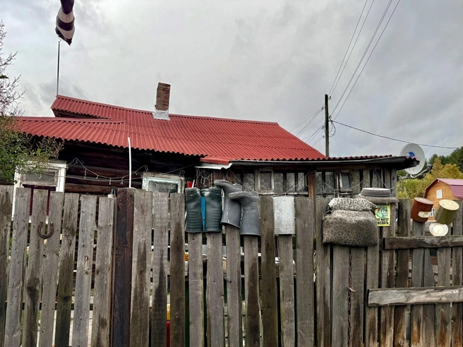 Источник: Николай Ситников
