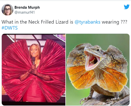 Макаронина или динозавр: Тайра Бэнкс в кутюрном платье превратилась в мем