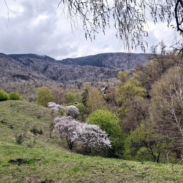 Источник: Наталья Шичкова