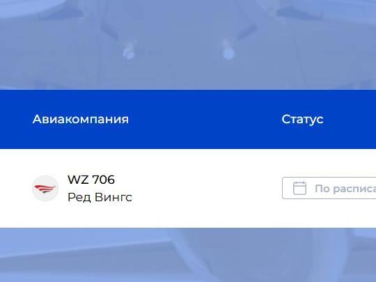 Отправление в Петербург — в 18:25 | Источник: Аэропорт «Золотое кольцо» / iaravia.ru