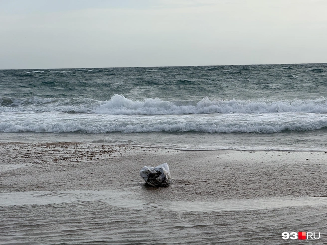 К вечеру мешки с пляжа начали вывозить | Источник: Валерия Дульская / 93.RU