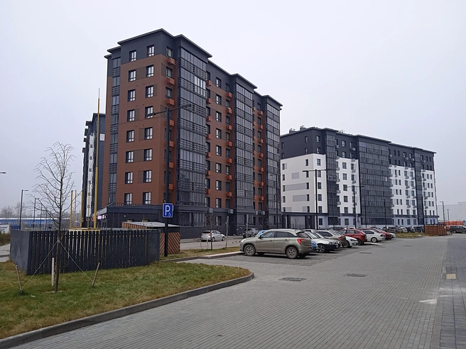 Инцидент произошел во дворе элитного дома | Источник: Дмитрий Сильнов / 173. RU