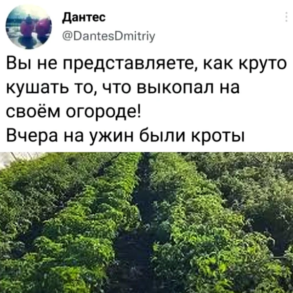 Источник: соцсети
