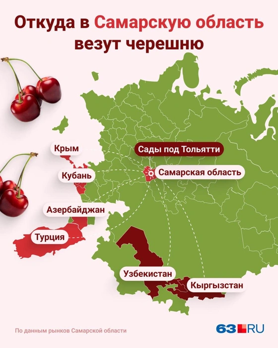 Смотрим на карту, выбираем черешню, едим пока сезон в разгаре! | Источник: Серафима Пантыкина / Городские медиа