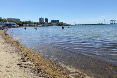 Когда цветет море в Анапе и как это влияет на отдых