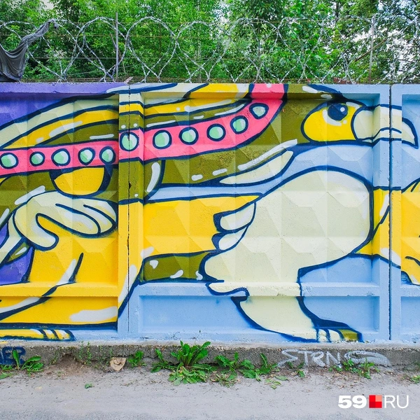 Источник: Тимофей Калмаков / 59.RU