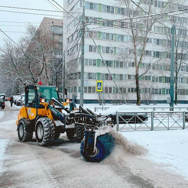 Источник: Комитет по благоустройству Санкт-Петербурга