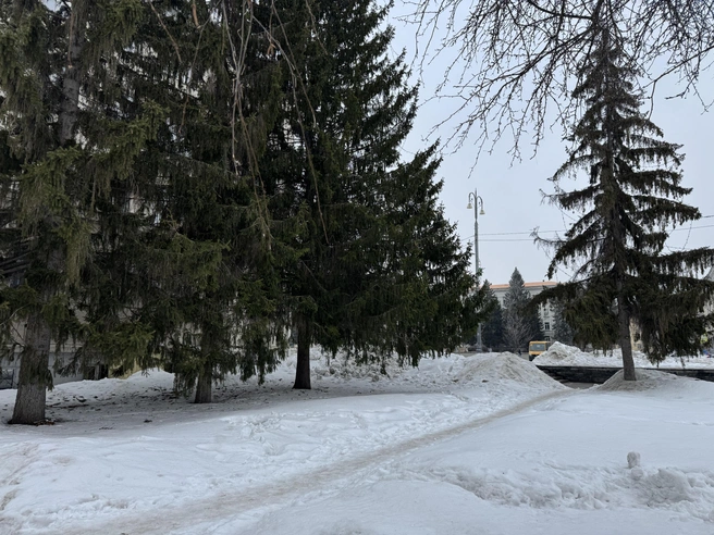 Источник: Юлия Король