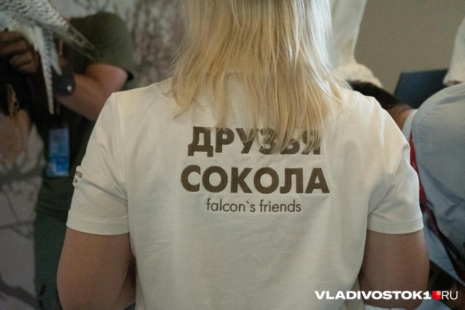 Источник: Елена Буйвол / VLADIVOSTOK1.RU